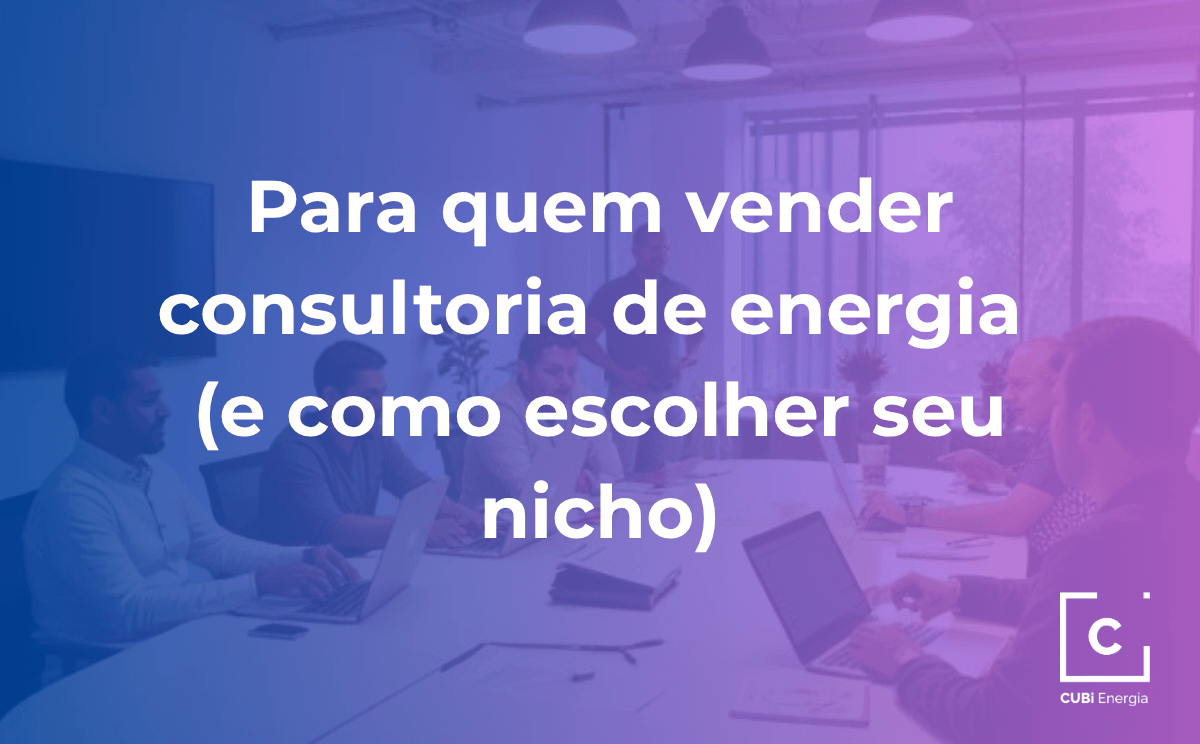 2.1 Para quem vender consultoria de energia (e como escolher seu nicho)